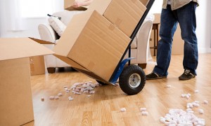 Moving 02