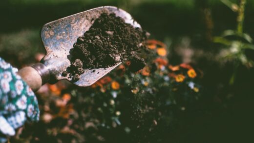 Green Thumb